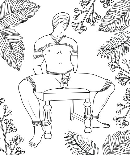 Tied Up In Colors: BDSM Adult Coloring Book