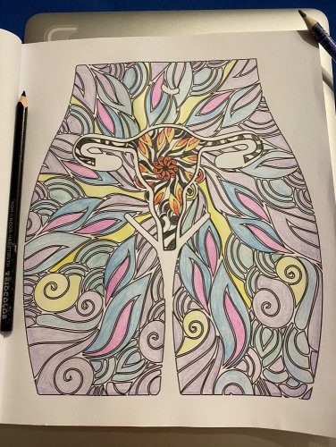 PichObraz - vagina coloring book