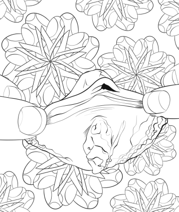 PichObraz vagina coloring page