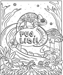 FUCK MĚ NESER: odnasrávací omalovánky