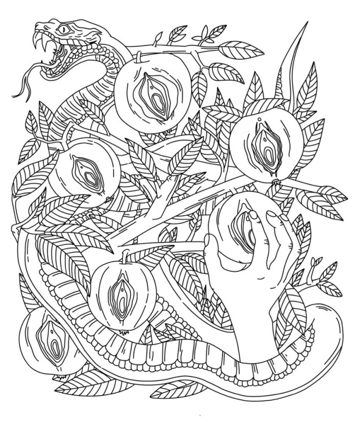 PichObraz - vagina coloring book