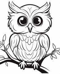 Království sov - Kreativní omalovánky pro děti - ke stažení